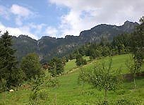 Gasthof Woell Альпбах Экстерьер фото